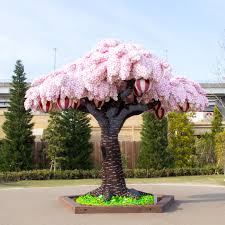Image result for cherry blossom tree