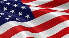 Image result for american flag image