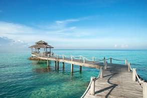 Image result for tropical bridge